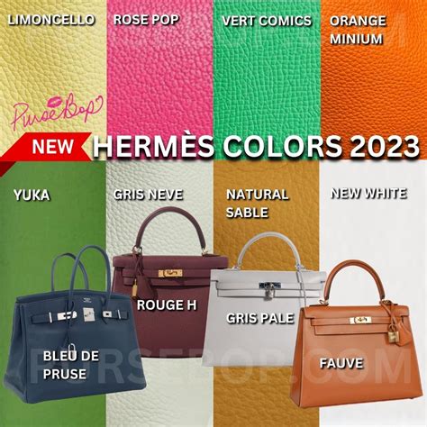 hermes evelyne colors 2024|new Hermes handbags 2024.